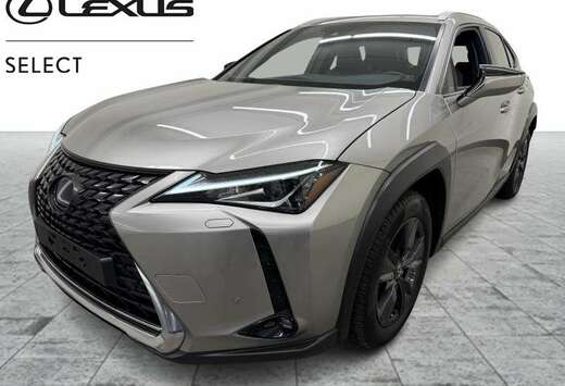 Lexus Business Line Plus