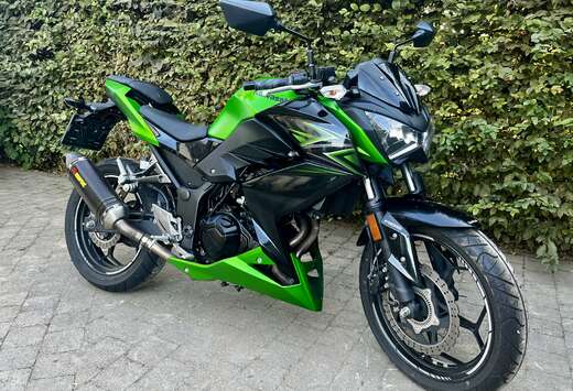 Faible Kilometrage Avec Ligne Akrapovic