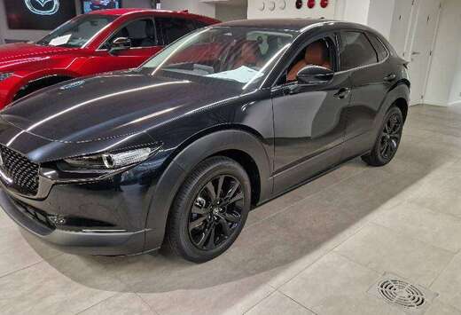 Mazda CX-30 2.0i SKYACTIV-X MHE Nagisa