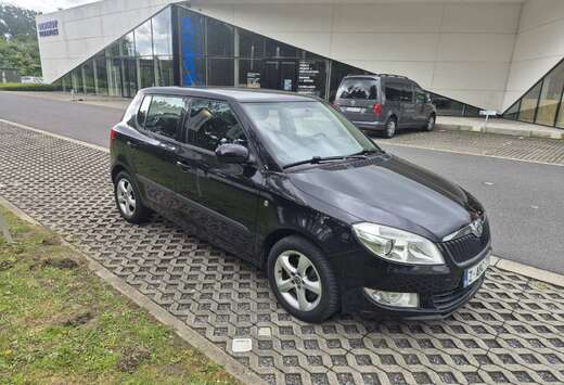 Skoda 1.2 TSI DSG - Clima - Cruise Controle - Zetelve ...