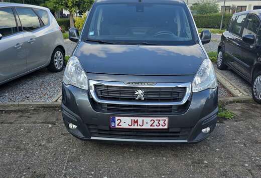 Peugeot 1.6 BlueHDi L2H1 Premium Pack 121 S/S