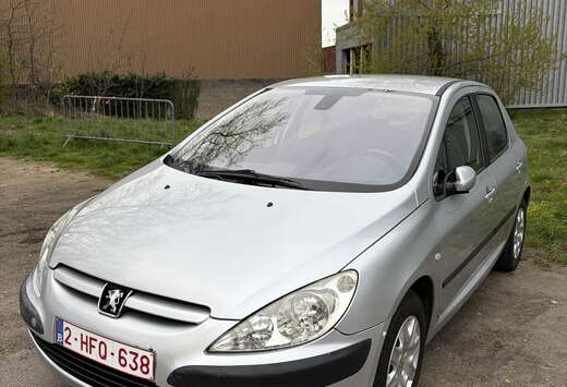 Peugeot 307 1.6 16V