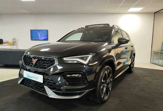 2.0 TSI 4Drive DSG ** Lichtevracht - Personenwagen **