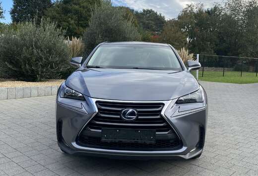 Lexus 2.5i AWD Executive Line E-CVT