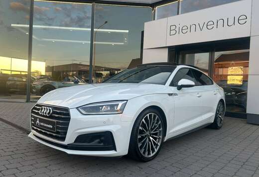 Audi Sportback 2.0 TDi S-Line S tronic *GARANTIE*1ER  ...