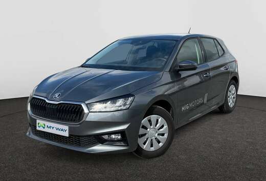 Skoda Corporate 1.0 TSI (115pk) AUTOMAAT /// Achterui ...