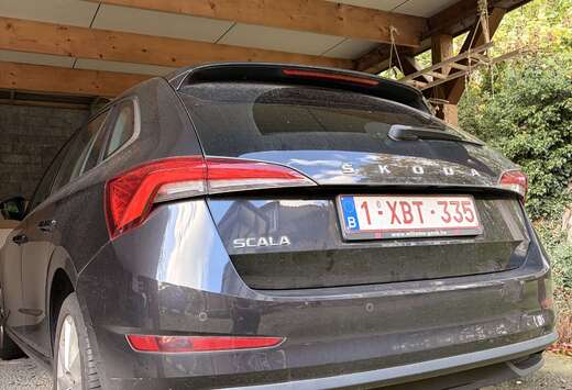 Skoda 1.0 TSI Ambition