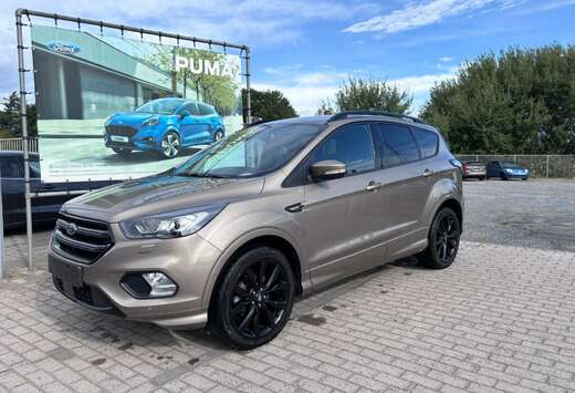 Ford ST-LINE / 1.5 ECOBOOST / 150 PK