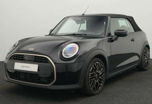 MINI Favoured Trim