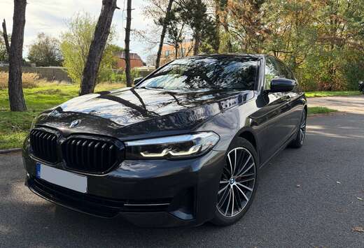BMW DA MHEV | Diesel-Hybride | 190 PK | Automaat