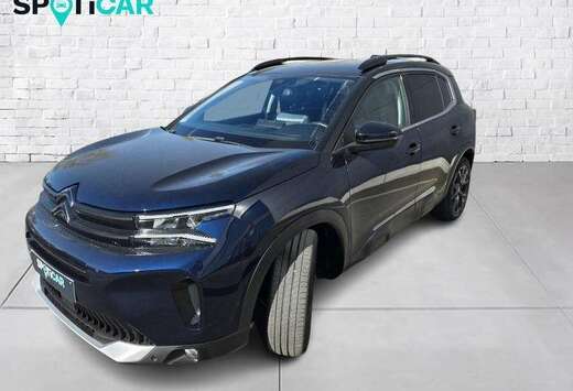 Citroen Max
