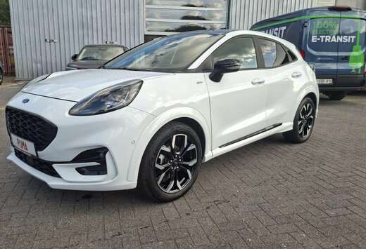 Ford ST-line X / 155PK /DCT7(automaat) / Frozen White