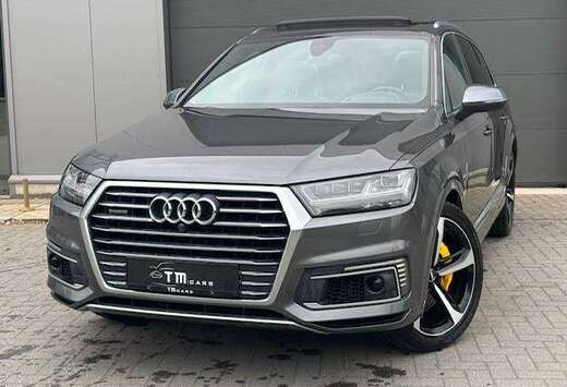 Audi Matrix/pano dak/camera/S-Line