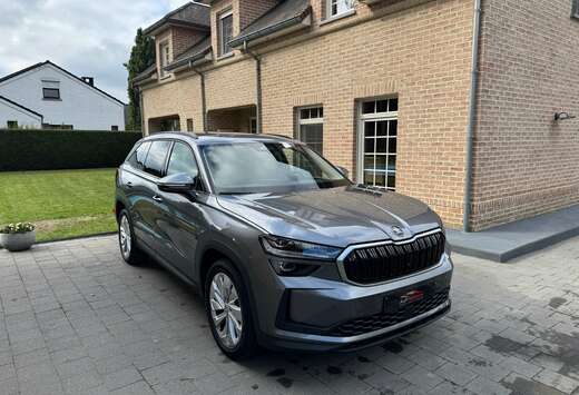 Skoda Kodiaq 2.0 TDI DSG Selection LEDER LED 360*