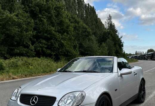 Mercedes-Benz Mercedes-Benz SLK 230 Automaat - Bose - ...