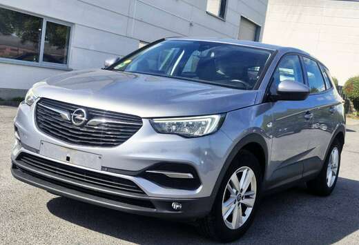 Opel Grandland X 1.5 TD ECOTEC  TREKHAAK – GPS - CA ...