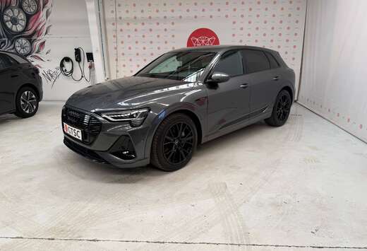 Audi 96 kWh 55 Quattro S line Black styling pakket Pa ...