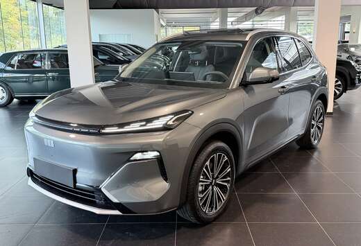 Andere  1.5 EM-i PHEV MAX+ / 136KM EV / Leder / ACC / ...