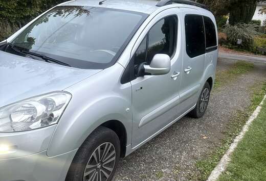 Peugeot Tepee 1.6 HDi Style