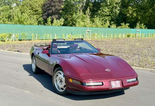 Chevrolet Corvette C4 1993 - 40th Anniversary - 70 00 ...