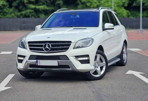 Mercedes-Benz BlueTEC Optimum Edition