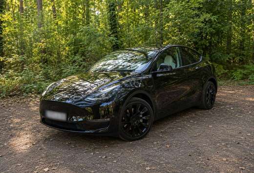 Tesla Model Y 72.5 kWh Dual Motor Performance (377 kW ...