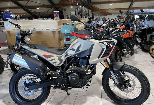 BKX 300