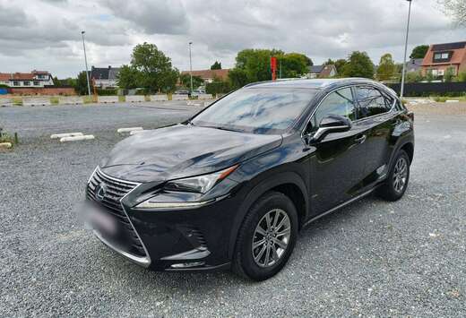 Lexus NX 300h 2.5i AWD Business Plus E-CVT