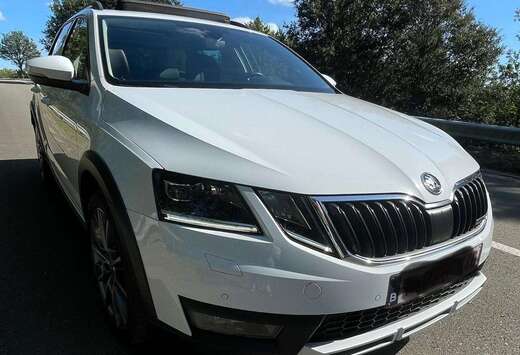 Skoda Octavia SW Scout 2.0 CR TDi 4x4 DSG