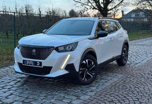 Peugeot * 131PK * FULL HISTORIEK * CAMERA * 3D CKPT * ...