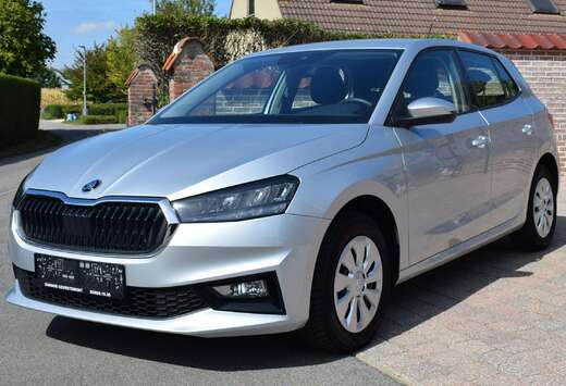 Skoda Fabia 1.0 TSI Selection DSG Selection