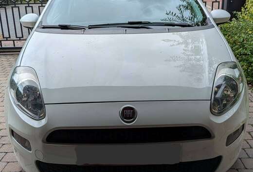 Fiat Easy