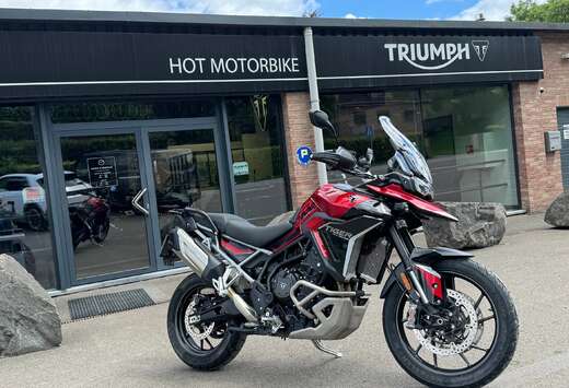 Triumph GT Pro (garantie 12 mois)
