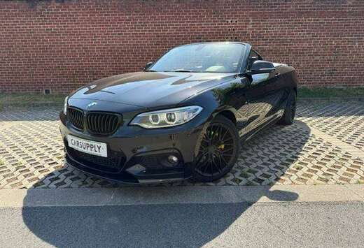 BMW Cabriolet 220iAS - M-Sport - Carbon - Harman Kard ...