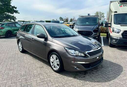 Peugeot Enkel voor professionele verkoop.