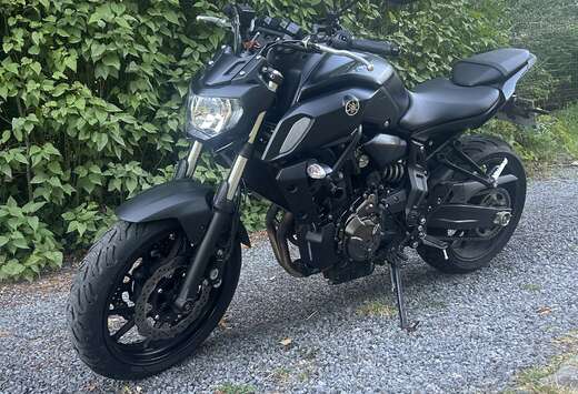 Akrapovic Carbon