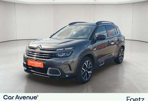 Citroen BlueHDi 130ch S\\u0026S Shine EAT8 E6.d