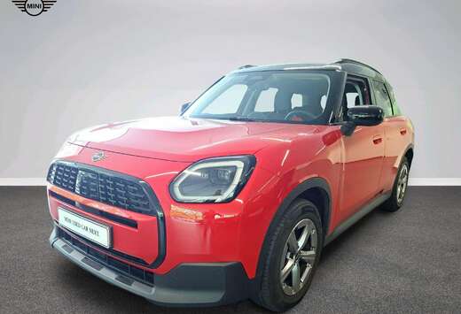 MINI Classic Trim