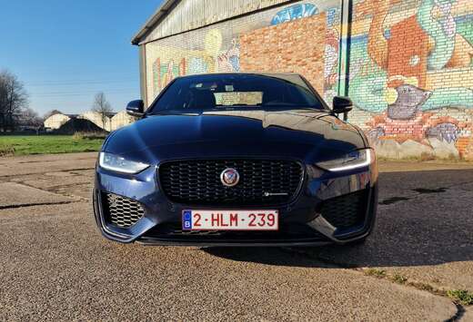 Jaguar XE P250 Aut. R-Dynamic S
