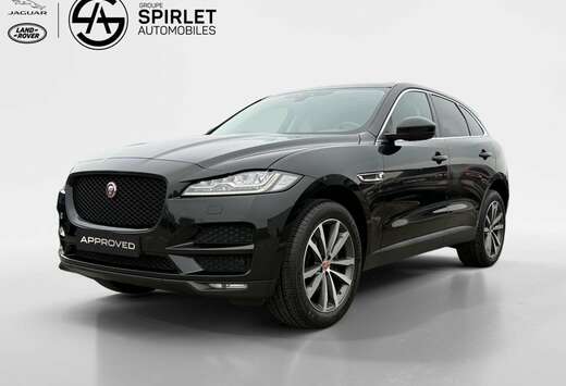 Jaguar Portfolio