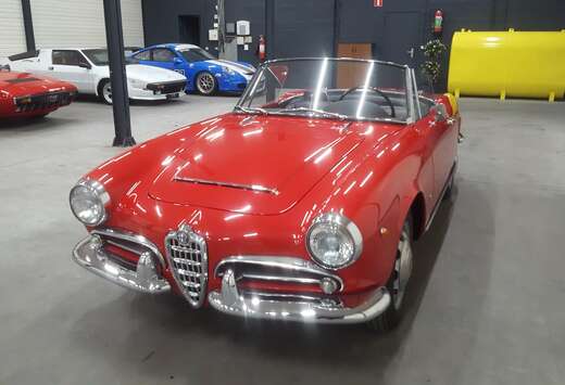 Alfa Romeo Spider