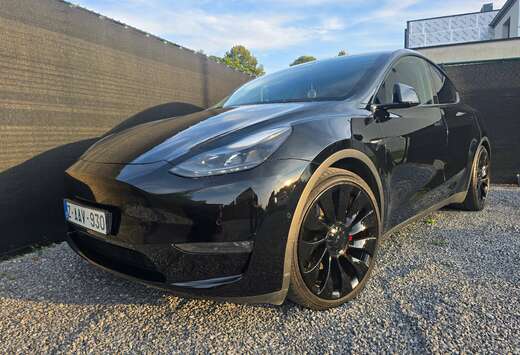 Tesla Model Y Dual Motor Performance 534 Pk!