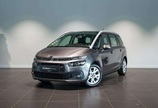 Citroen 1.5 BlueHDI Business 7 Zit.  Carplay  PDC Ach ...