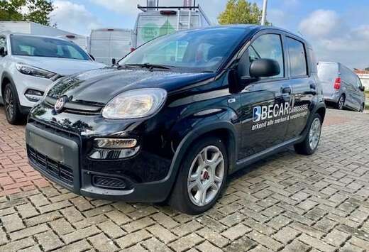Fiat Life