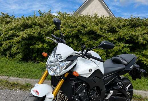 Yamaha FZ8 N