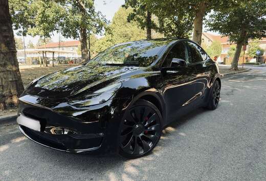 Tesla PERFORMANCE–FULL BLACK–JANTES 21-GARANTIE C ...