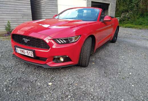 Ford Mustang Convertible 2.3 EcoBoost