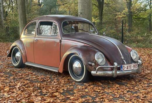 Volkswagen Volkswagen Kever Ovaal 1956–Amerikaanse  ...