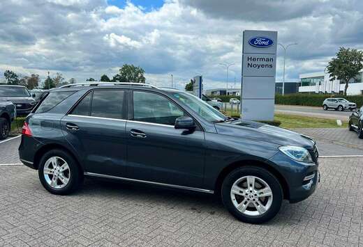Mercedes-Benz Enkel voor professionele verkoop.