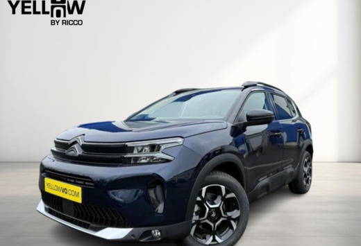 Citroen Max / MHEV / E-DSC6